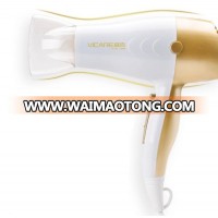 Golden Household Best Hair Dryers FOR Hair Salon Equipment